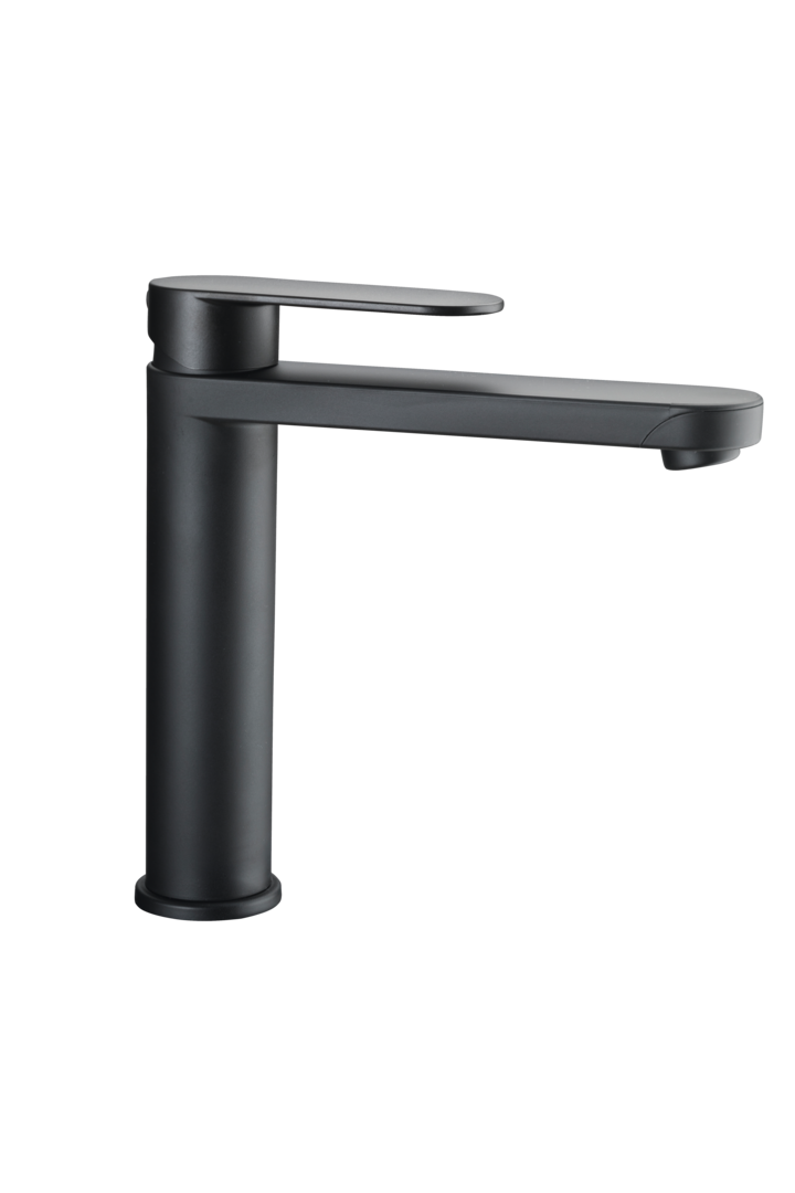 Reich Wasserhahn Linea L black Küche